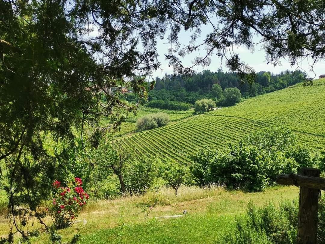 Cascina Valtignosa Camere Con Vigna Cassine Extérieur photo