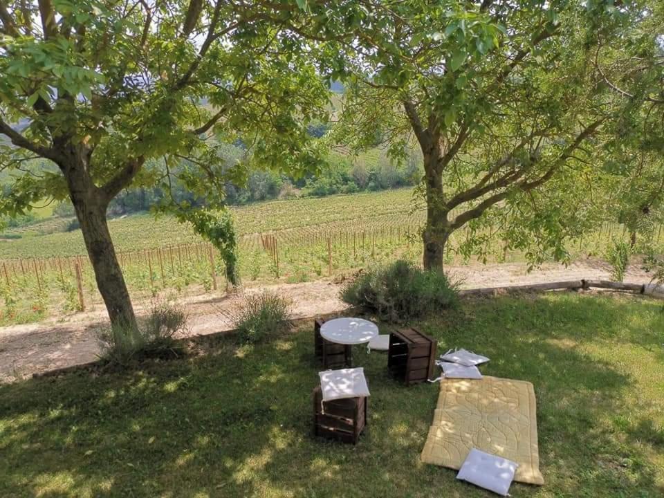 Cascina Valtignosa Camere Con Vigna Cassine Extérieur photo