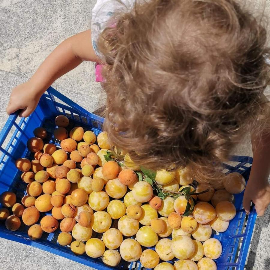 Cascina Valtignosa Camere Con Vigna Cassine Extérieur photo