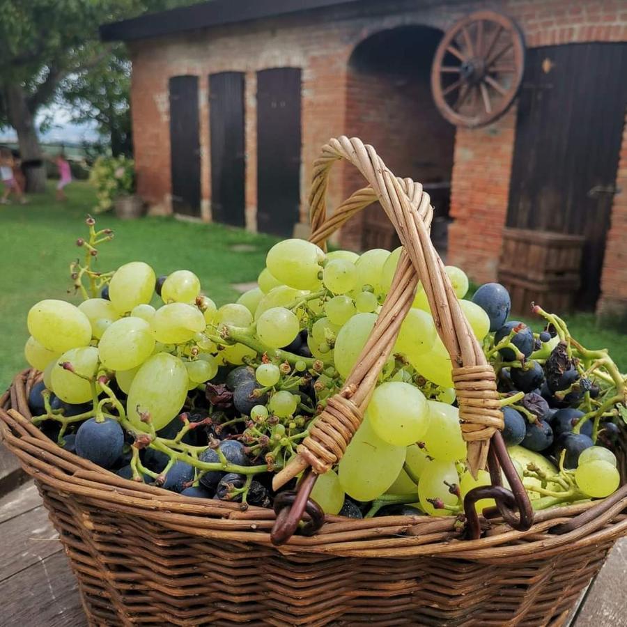Cascina Valtignosa Camere Con Vigna Cassine Extérieur photo