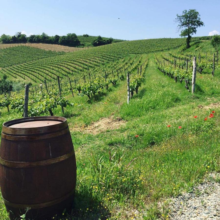 Cascina Valtignosa Camere Con Vigna Cassine Extérieur photo