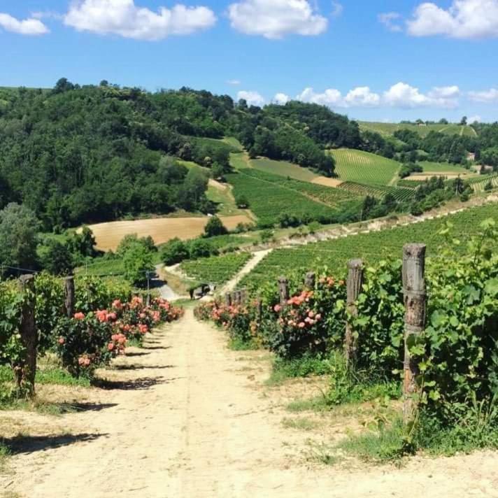 Cascina Valtignosa Camere Con Vigna Cassine Extérieur photo