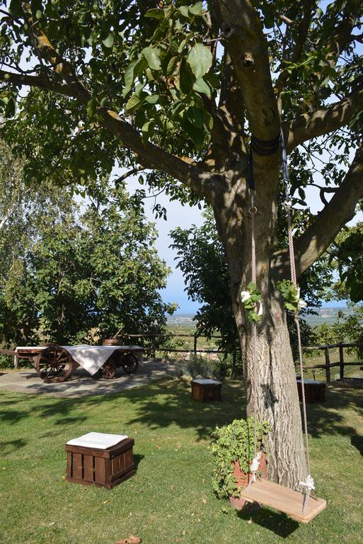 Cascina Valtignosa Camere Con Vigna Cassine Extérieur photo