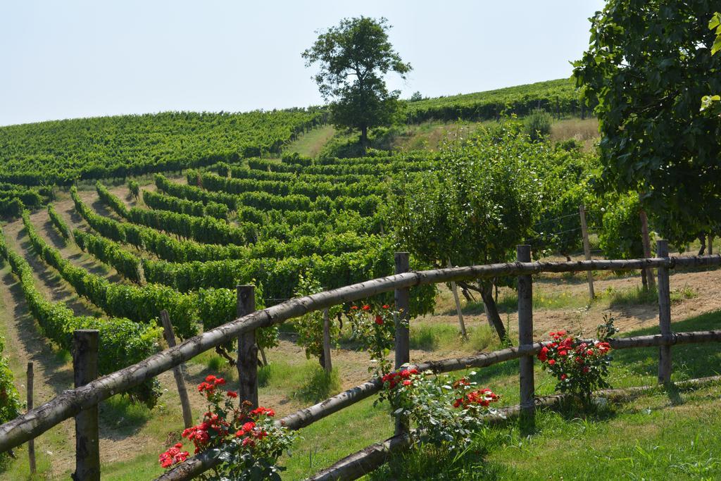 Cascina Valtignosa Camere Con Vigna Cassine Extérieur photo