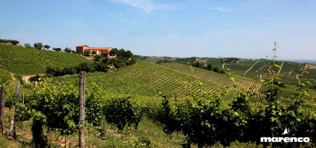 Cascina Valtignosa Camere Con Vigna Cassine Extérieur photo