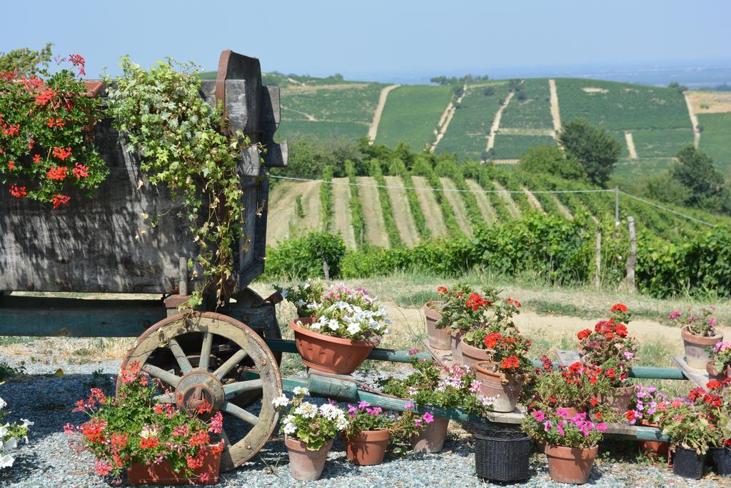 Cascina Valtignosa Camere Con Vigna Cassine Extérieur photo