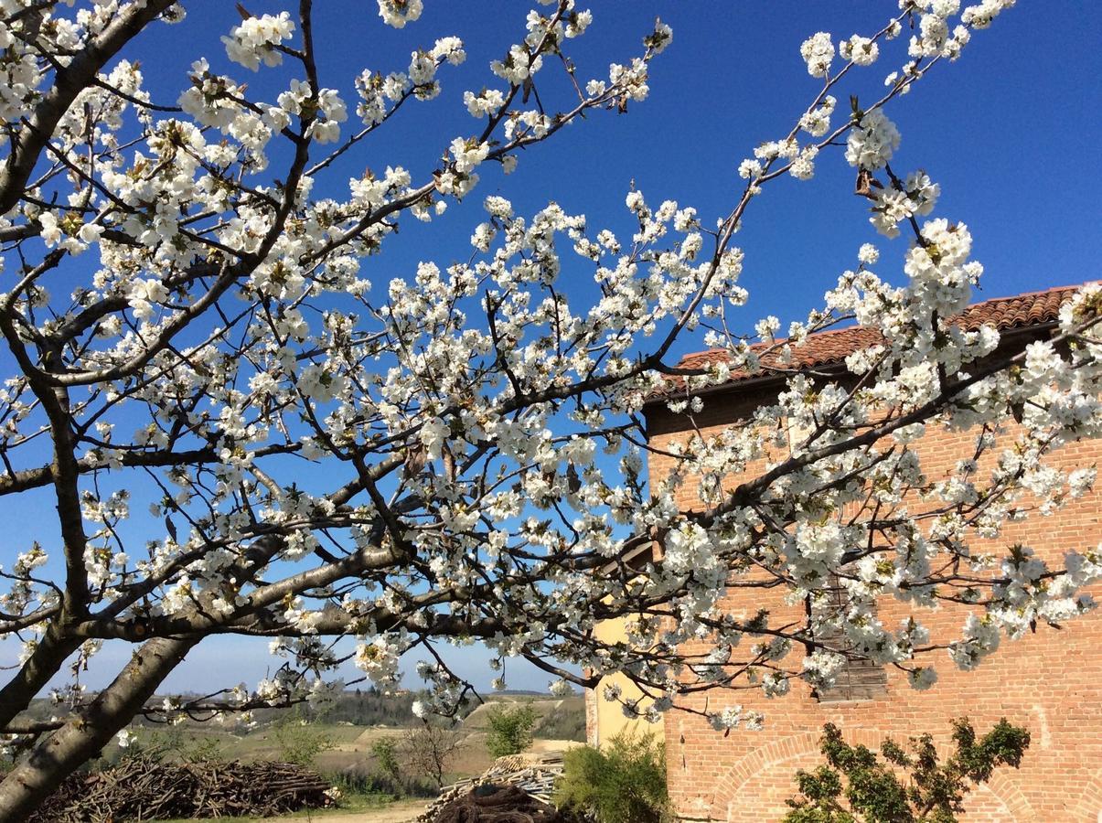 Cascina Valtignosa Camere Con Vigna Cassine Extérieur photo